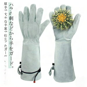 o K[fjOO[u KNp K[fjOO[u  O gQ Ƃh~ fB[X KNO[u op oO[u o _ Y |  A  K[f