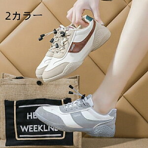 Xj[J[ fB[X ꃍ[JbgXj[J[ fB[X R[gXj[J[ X|[cV[Y lC y EH[LOV[Y X|[c JWA ₷ ₷ 