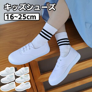 LbYV[Y YbNV[Y YbNC LoX zC xr[V[Y Xj[J[ y  IV ct ʉ X|[cT_ qC j̎q ̎q t  ₷ 