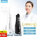 ＼★1200円クーポン+P2で1点あたり2,720円!／ウォッシャー 口腔洗浄器 Type-C充電式 IPX7防水 4モード搭載 300ml大容…