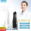 ＼新春初売り★20%OFFクーポンで2,878円！／ジェットウォッシャー 口腔洗浄器 口腔洗浄機 ウォーターフロス ウォータ…