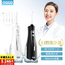 ＼88%OFF★10%OFFクーポンで3,246円！／ジェットウォッシャー 口腔洗浄器 口腔洗浄機 ウォーターフロス ウォーターピ…