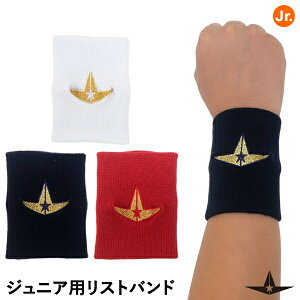 yz[֑ΉALL-STARiI[X^[j ASJ-C06 XgohS WjAp mpC 1 ASJC06 싅