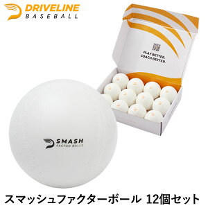 X}bVt@N^[{[ 12Zbg hCuCx[X{[ ŌK K SBSMSH1001 DRIVELINE g[jO 싅