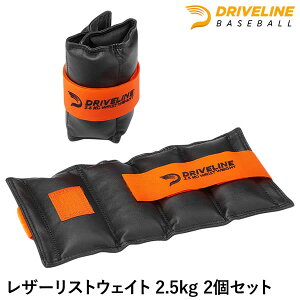 U[XgEFCg 2.5kg 2Zbg hCuCx[X{[ K WWSET1025 DRIVELINE g[jO 싅