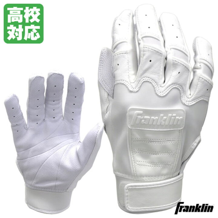 楽天市場】【即日発送可】＜メール便対応＞フランクリン（Franklin 