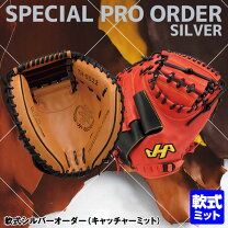 楽天市場】ハタケヤマ オーダー キャッチャーミットの通販