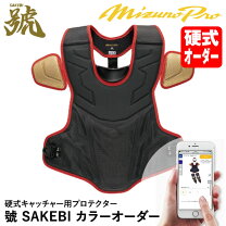 楽天市場】ミズノプロ（キャッチャー防具｜野球・ソフトボール 