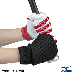 ~YmiMIZUNOj 1DJPG22109 bK[h E荶Ŏҗp nhK[h nhveN^[ 싅 2025SS