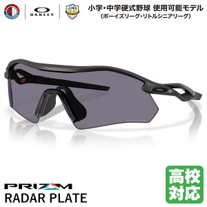 yzOAKLEYiI[N[j OO9495D-0636 RADAR PLATE [_[v[g Prizm Grey/Matte Black wEwd싅gp\f Z싅Ή {[CY[O gVjA[O [ub