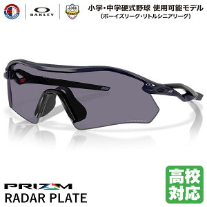 yzOAKLEYiI[N[j OO9495D-0736 RADAR PLATE [_[v[g Prizm Grey/Polished Navy wEwd싅gp\f Z싅Ή {[CY[O gVjA[O [u