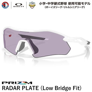 yzOAKLEYiI[N[j OO9495D-0836 RADAR PLATE [_[v[g Prizm Slate/Polished White wEwd싅gp\f {[CY[O gVjA[O [ubWtBbg 