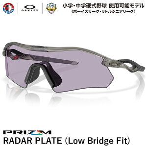 yzOAKLEYiI[N[j OO9495D-0936 RADAR PLATE [_[v[g Prizm Slate/Matte Grey Ink wEwd싅gp\f {[CY[O gVjA[O [ubWtBbg 
