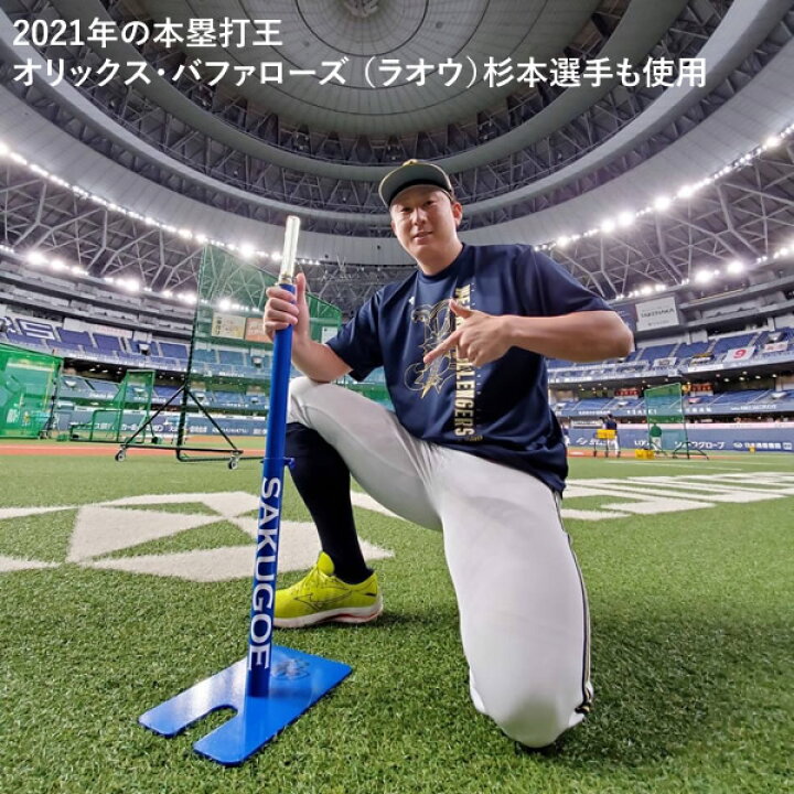 楽天市場】【即日発送可】SAKUGOE サクゴエ PUT式 強打者を育てる  