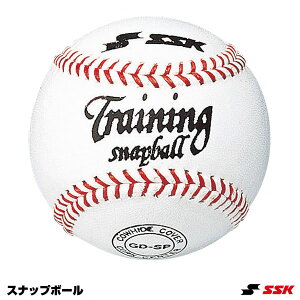 GXGXPCiSSKj GDSP Xibv{[ 420g Ōs 싅 2025SS