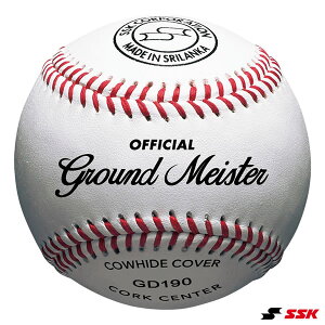 GXGXPCiSSKj GD190 Z 1_[X/12 d싅p{[ VRv 싅 2025SS