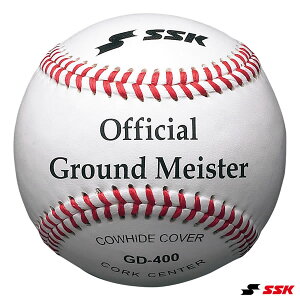 GXGXPCiSSKj GD400 ЉlEw 1_[X/12 d싅p{[ VRv 싅 2025SS