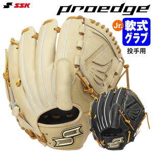 �G�X�G�X�P�C�iSSK�j PJB6 �W���j�A��p�O���u ����p �v���G�b�W B �T�C�YLL proedge ��O���u �O���[�u �싅 2026SS