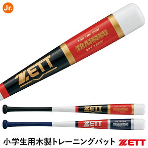 [bgiZETTj BTT75380 wpؐg[jOobg 80cm Ō\ 싅 2025SS