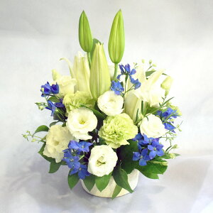 ypzAWg@ԁ@ԁ@ʖ@@V@ʎ@ԁ@֏@@l\@@@v@@~@~@ފ݁@@bZ[WJ[ht@y