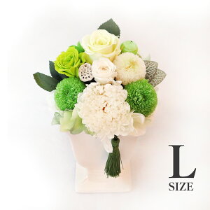 umemorial green-L-vvU[uht[ AW͂Ȃԁ@ ފ   @  @@v A@蕨ԁ@bZ[WJ[hty؈ԉz