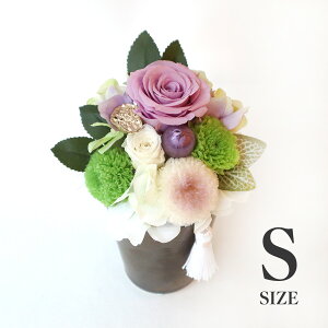 umemorial purple-S-vvU[uht[ AW͂Ȃԁ@ ފ   @  @@v A@蕨ԁ@bZ[WJ[hty؈ԉz