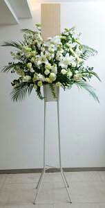 ypzX^hԁiij@ԁ@ԁ@ʖ@@V@ʎ@ԁ@֏@@Dt@y؈ԉzrtk20