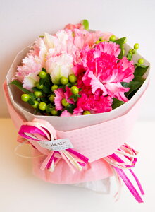 uC`u[Pvu[P^Cv@Pure PinksAsN@sNn@ԁ@ԑ v[g@Mtg@a@LO@Ajo[T[@ ʁ@@i`@Ԍt