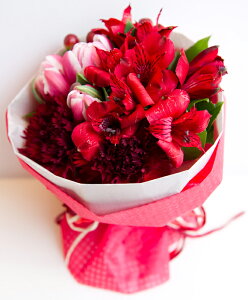 uC`u[Pvu[P^Cv@Hot Redzbgbh@Ԍn@ԁ@ԑ v[g@Mtg@a@LO@Ajo[T[@ ʁ@@i`@Ԍt@I