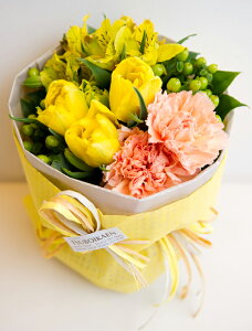 uC`u[Pvu[P^Cv@Vitamin Yellowr^~CG[@Fn@ԁ@ԑ v[g@Mtg@a@LO@Ajo[T[@ ʁ@@i`@