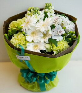 uC`u[Pvu[P^Cv@Natural Whitei`zCg@EO[n@ԁ@ԑ v[g@Mtg@a@LO@Ajo[T[@ ʁ@@i`