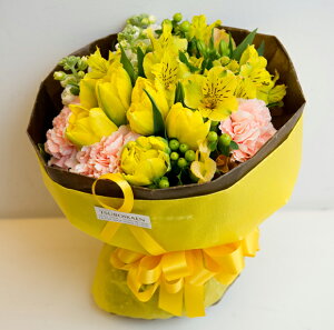 uC`u[Pvu[P^Cv@Vitamin Yellowr^~CG[@Fn@ԁ@ԑ v[g@Mtg@a@LO@Ajo[T[@ ʁ@@i`@