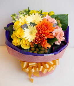 uC`u[Pvu[P^Cv@Passion YellowpbVCG[@Fn@ԁ@ԑ v[g@Mtg@a@LO@Ajo[T[@ ʁ@@i`@