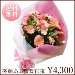 uΊ炠ӂԑvX^_[h^Cv@Pure@PinksAsN@sNn@ԁ@ԑ v[g@Mtg@a@LO@Ajo[T[@ ʁ@@i`@