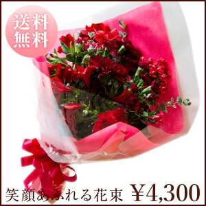 uΊ炠ӂԑvX^_[h^Cv@Hot Redzbgbh@Ԍn@ԁ@ԑ v[g@Mtg@a@LO@Ajo[T[@ ʁ@@i`@Ԍt@