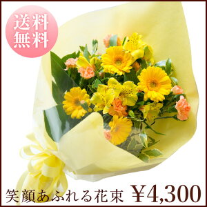 uΊ炠ӂԑvX^_[h^Cv@Vitamin Yellow@r^~CG[@Fn@ԁ@ԑ v[g@Mtg@a@LO@Ajo[T[@ ʁ@@i`