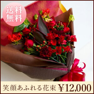 uΊ炠ӂԑvX^_[h^Cv@Hot Redzbgbh@Ԍn@ԁ@ԑ v[g@Mtg@a@LO@Ajo[T[@ ʁ@@i`@Ԍt@