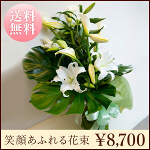 uΊ炠ӂԑvX^_[h^Cv@Natural Whitei`zCg@O[n@ԁ@ԑ v[g@Mtg@a@LO@Ajo[T[@ ʁ@@i