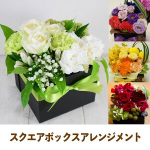 uS-Box ArrangementvXNGA{bNXAWg@J[l?V@o@ԁ@v[g@IWi@Mtg@a@LO@\@@̓@@bZ[WJ