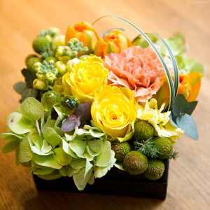 uS-Box ArrangementvYellowXNGA{bNXAWg@Fn@J[l?V@o@ԁ@v[g@IWi@Mtg@a@LO@\@@̓@
