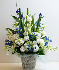 ypzAWg@ԁ@ԁ@ʖ@@V@ʎ@ԁ@֏@@l\@@@v@@~@~@ފ݁@@bZ[WJ[ht@y