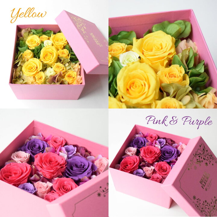 大人気 プリザーブドフラワースクエアミラー オレンジ Tr Dentempsdfw Com 大人気 プリザーブドフラワースクエアミラー オレンジ Tr Dentempsdfw Com