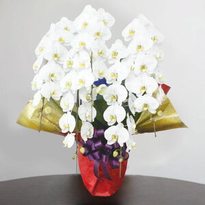 yÉsEzGAz֌Ӓ@5{@@Mtg@JƏj@JXj@ԁ@@@v[g@Nj@LOi@j@@l@Ɓ@SݓXi@fp[g@ze@