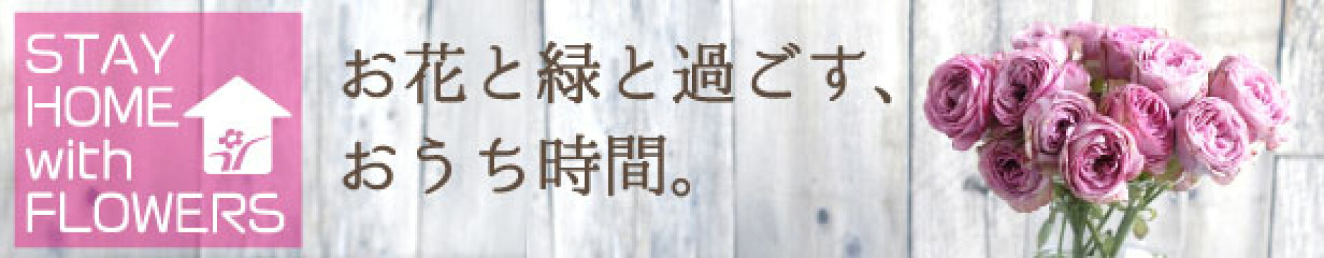 おうち時間