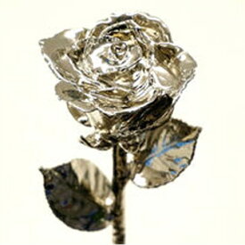 「プラチナローズ(ギフトボックス付)」記念日　誕生日　結婚　プロポーズ　プレゼント　ギフト　花　バラ　薔薇　人気　永遠に咲き続けるバラ　メッセージカードカード付　送料無料【坪井花苑】