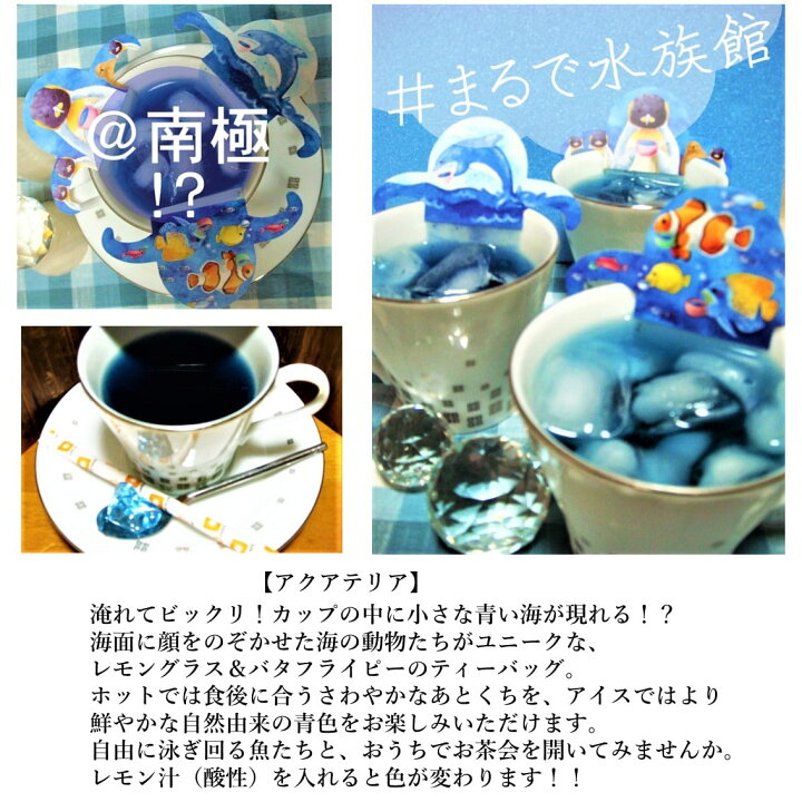 楽天市場 バレンタイン 早割 紅茶 ギフト カップに入ってお茶会 ティーバッグ Cat Cafe かわいい 猫 無糖 おしゃれ 男性 お家時間 送料無料 飲み比べ セット 4種類各1セット アールグレイ ルイボス アッサム ブルーハーブティー バタフライピー ミルクティー 猫グッズ