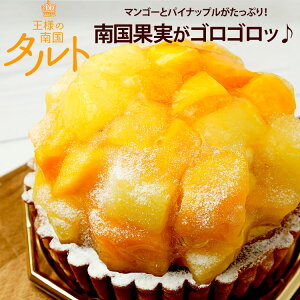 王様のマンゴー&パイナップルタルト  4.5号 タルト スイーツ 洋菓子 ギフト フルーツタルト パイナップル マンゴー ケーキ 南国フルーツ 誕生日 記念日