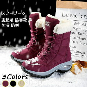 Xm[u[c fB[X y N hC h h RtH[gV[Y  p V[g u[c ~p ʊw ʋ