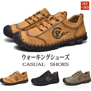 EH[LOV[Y Y amC y Xj[J[ JWAV[Y hCrOV[Y  C V[Y ₷  ʋ  203040