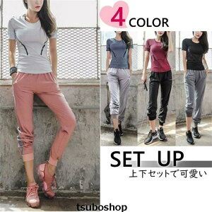 X|[cEFA g[jOEFA KEFA ㉺ ZbgAbv fB[X  W[W 킢 ㉺Zbg [EFA pc pW} TVc